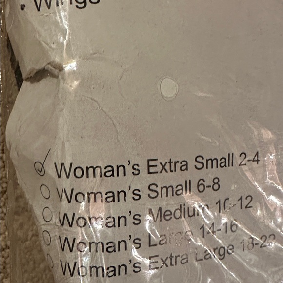 Sweet as Honey Bee Costume - Picture 3 of 3